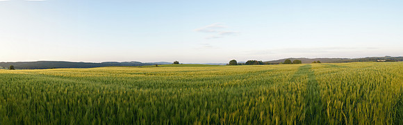 14060405465_panorama