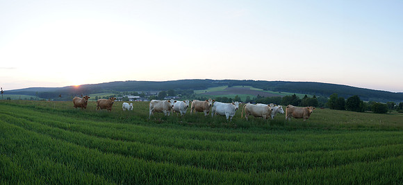 14060405583_panorama