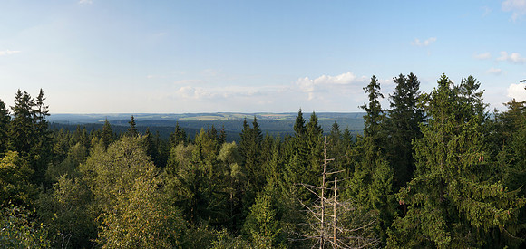 14082709217_panorama