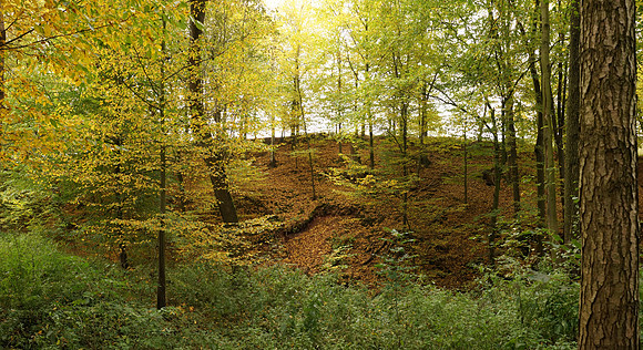 14101310021_panorama